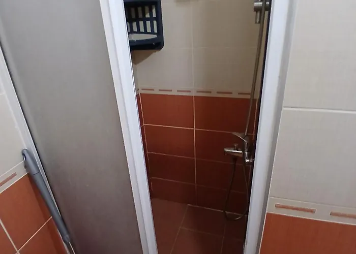 Sezaibulut Guenluek Kiralik Apartment Ayvalı